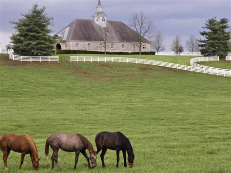Donamire Horse Farm In Lexington Kentucky Hd Desktop Wallpaper