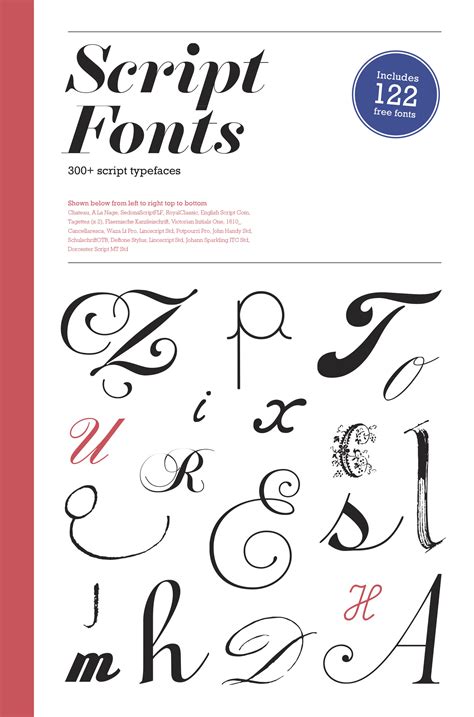 A Guide To The Beautiful Elaborate ‘jungle Of Script Typefaces Wired