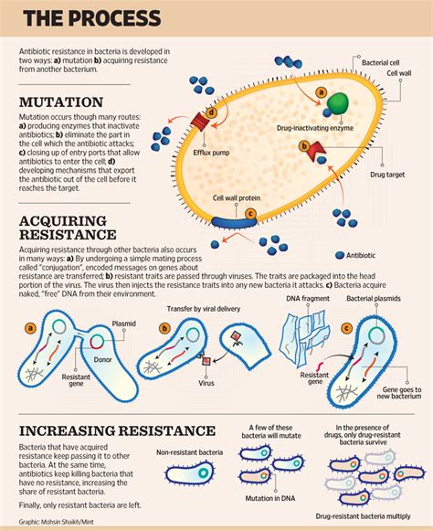 How Bacteria Develop Antibiotic Resistance