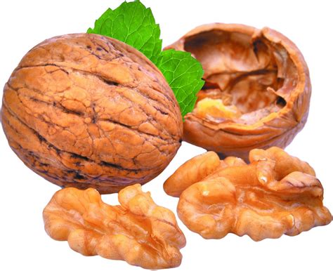 Why Walnuts May Help With Weight Loss Harvard Health