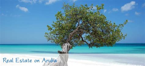 Aruba Makelaars Andonroerend Goed
