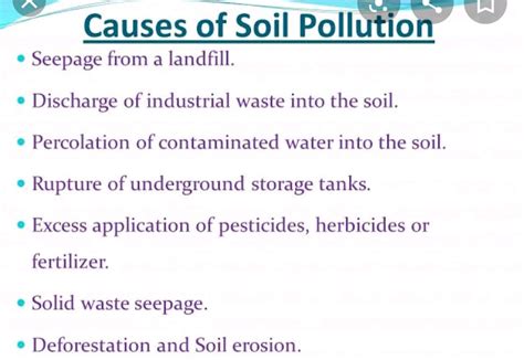 Write Any 5 Causes Of Soil Pollution Biology Allergy 14105655