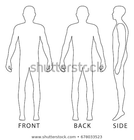 Human body front side back. Human Body Front Back Stock Vector 345057020 - Shutterstock