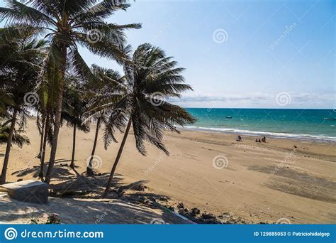 Palmeras En La Playa Imagen De Archivo Imagen De Ruta 129885053