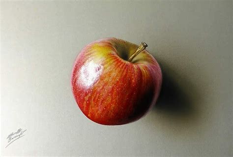 Realistic Apple Drawing Black And White Cresswell Thaton1982