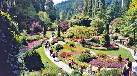 Lockwood Lavender Farm Butchart Gardens In Vancouver Island Canada