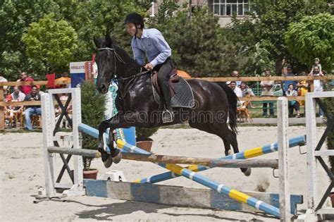 Equitation Contest Horse Jumping Over Obstacle Editorial Stock Photo