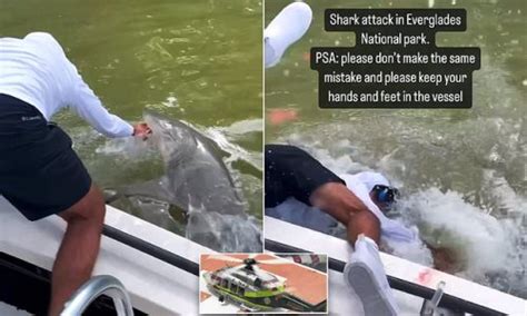 Terrifying Moment Shark Bites Fisherman On His Hand Before Dragging Him