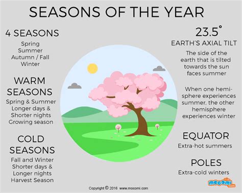 4 Seasons Of The Year Ographic For Kids Mocomi
