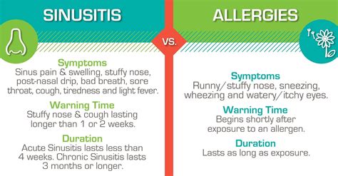 Difference Between Allergies And Sinus Problems Surfeaker
