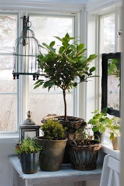 Plant Grouping Indoor Plants Pinterest Different Shapes House