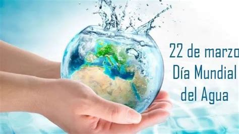¿por Qué Se Celebra Hoy El Día Mundial Del Agua Weekend