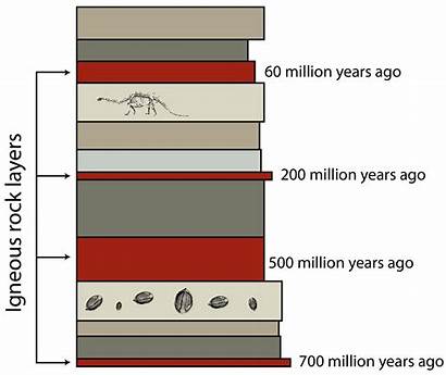 Dating Relative Fossils Radiometric Escorte Fete Publi24