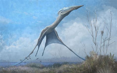 An Artists Rendering Of A Dinosaur Flying Through The Air