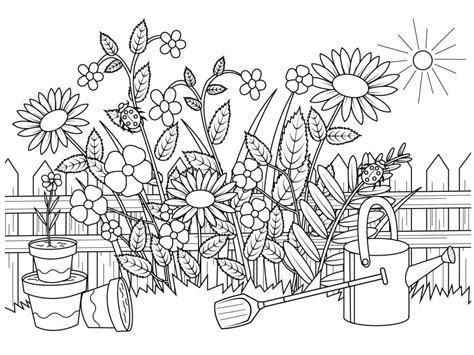 Desenhos Para Colorir E Imprimir Adultos