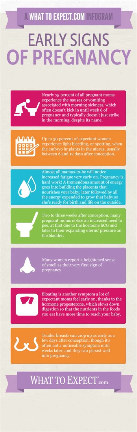 infographic early signs and symptoms of pregnancy what to expect