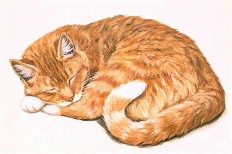 Linda Picken Art Studio Orange Tabby Lying Down Cats