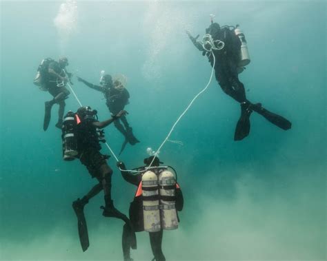 Canadian Forces Divers In Caribbean For Month Of Training Cbc News