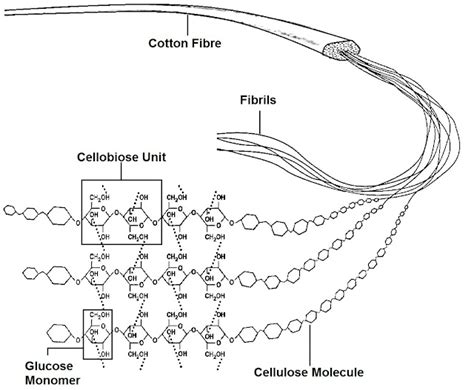 Chemical Structure Of Cotton Fibre Online Textile Academy