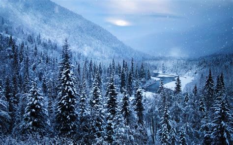 Landscape Alaska Snow Nature Mountain Forest Winter River Trees White Cold Wallpapers