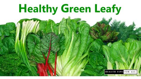 Top Healthy Leafy Vegetables On Earth Best Food For Health Green