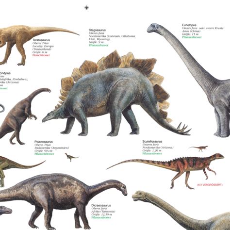 Sachposter Poster Dinosaurier Aus Der Kreidezeit