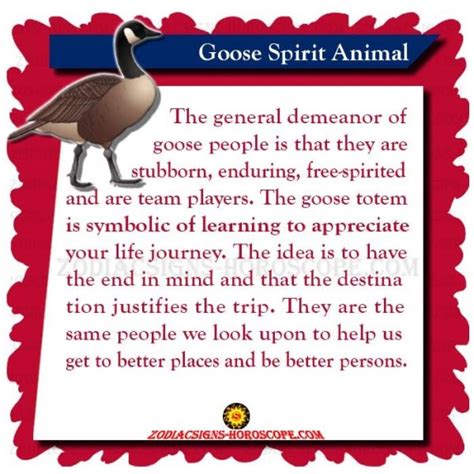 Goose Spirit Animal Meaning Symbolism Dream Of The Goose Totem