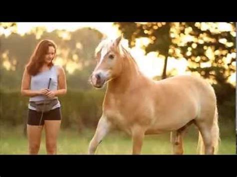 Cavallo E Donna Video Dargoole