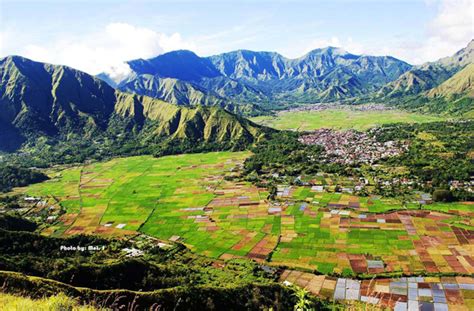 9 Ladang Sawah Terindah Di Indonesia Yang Bikin Hatimu Bergetar