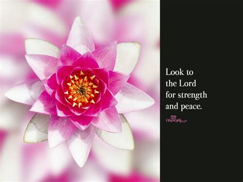 Maybe you would like to learn more about one of these? Strength and Peace Wallpaper - Free Flowers Desktop ...