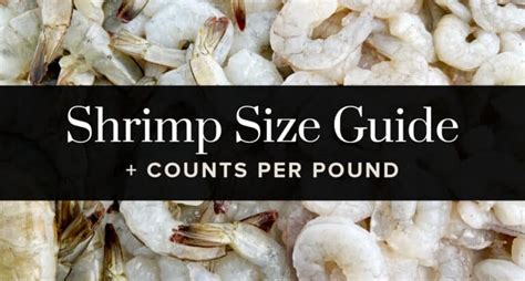 Shrimp Sizes And Counts Per Pound Wshrimp Size Chart