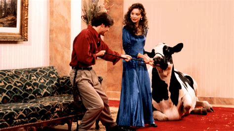 Milk And Money Stars Calista Flockhart And A Supporting Cast Of Cows