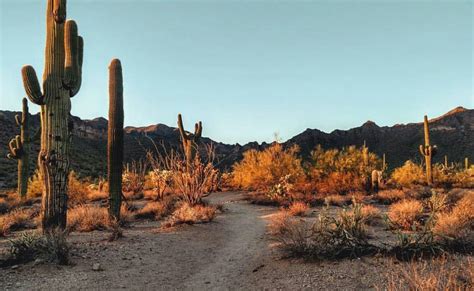 Pin By Lee Graeber On Arizona Country Roads Arizona Natural Landmarks