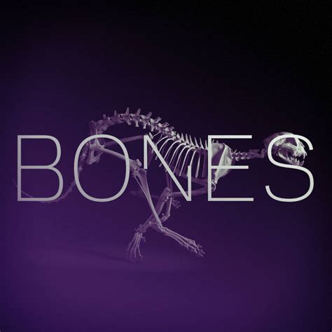 Bones Back To The Bones