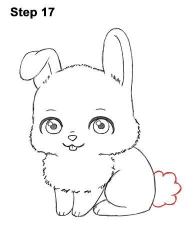 How To Draw A Bunny Rabbit Cartoon Video And Step By Step Pictures