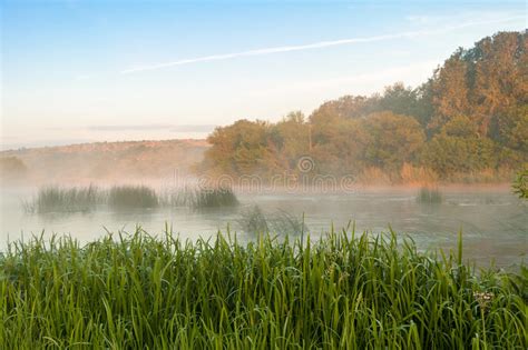 Morning Mist Over The River Stock Image Image Of Nature Wood 41769445