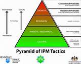 Pictures of Ipm Pest Control