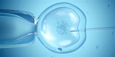 How Old Is Too Old For Ivf An Ethical Debate