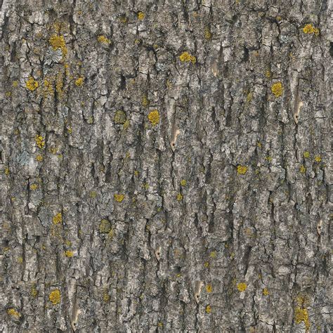 Hd Wallpaper Brown Tree Bark Texture Seamless Tileable Seamless