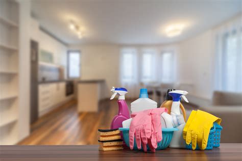 Booking Your Move Out Clean What You Need To Know Moving Guides