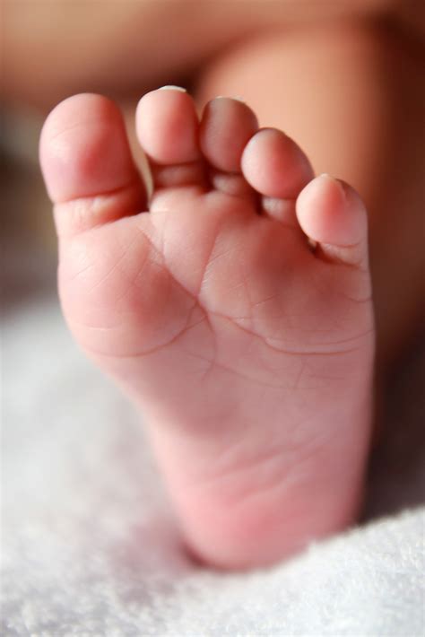 Free Images Hand Kid Cute Leg Finger Foot Small Sole Child