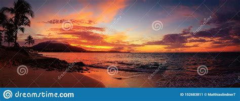 Red Sunset Panorama On The Caribbean Beach With Palm Trees