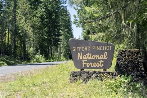 Ford Pinchot National Forest Camping And Hiking Hoodmwr