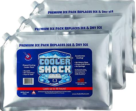 The Best Ice Packs For Coolers Expert Review And Buyers Guide