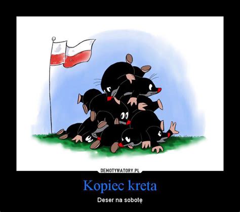 Zobaczcie najciekawsze memy po meczu z czechami! Euro 2012: Polska - Czechy. Kopiec kreta - Galeria ...
