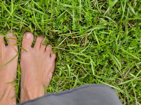 The Hidden Benefits Of Grounding Why It Helps More Than Just Your Body