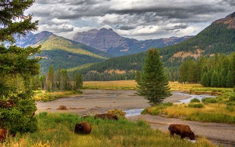 Yellowstone national park is the world's first national park. You Could Live and Work in Yellowstone National Park This ...