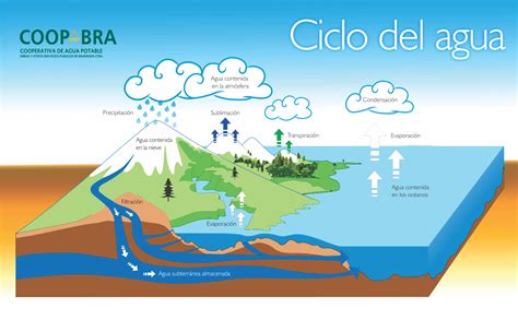 Ciclos Biogeoquimicos Desarrollo Sustentable El Ciclo Del Agua Agua