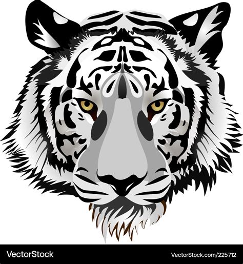 Tiger Head Royalty Free Vector Image Vectorstock