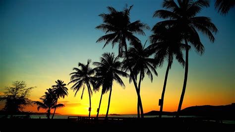 Palm Trees In Sunset Palm Trees Sunset Sun Wallpaper 1920x1080